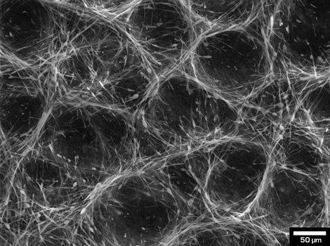 Polymer-fibers-_lowvac.jpg